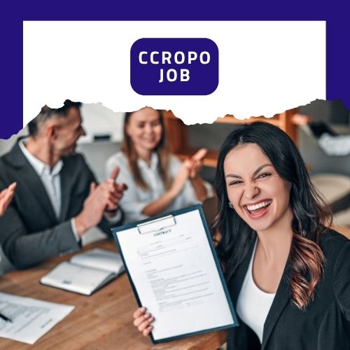 Apprenez la méthode qui vous permettra de décrochez l'emploi de votre rêve en 30 à 90 jours