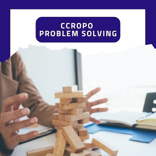 Et si la résolution de problèmes devenait votre avantage pour vous différencier et réussir vos missions ?